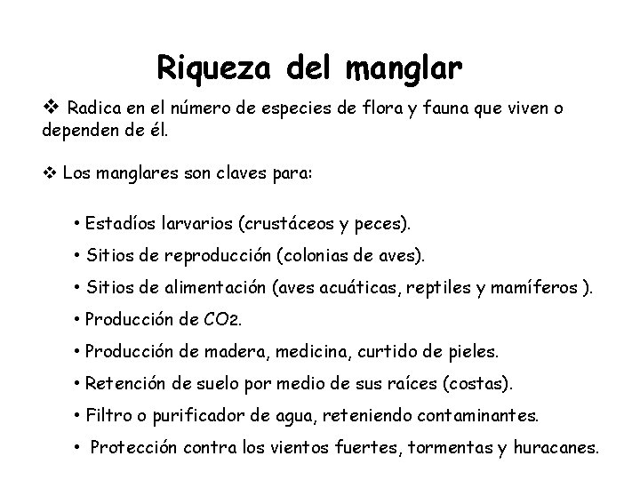 Riqueza del manglar v Radica en el número de especies de flora y fauna