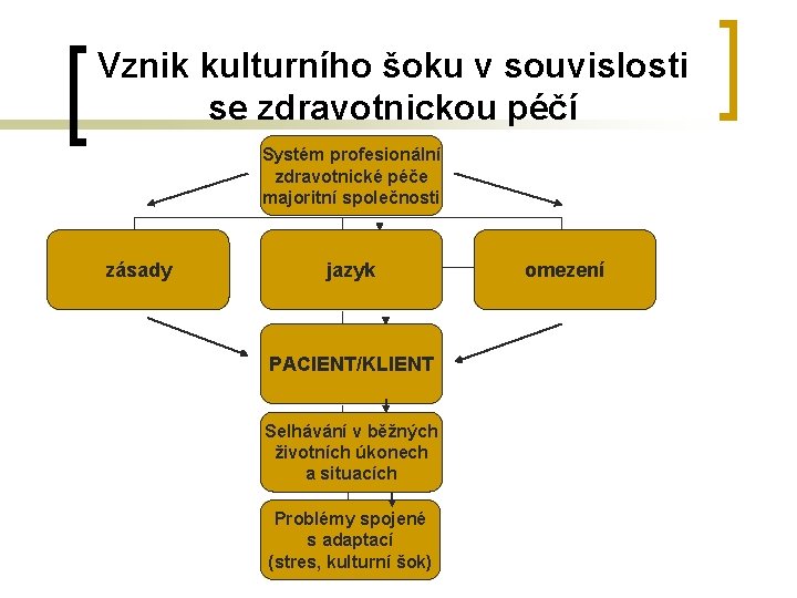 Vznik kulturního šoku v souvislosti se zdravotnickou péčí Systém profesionální zdravotnické péče majoritní společnosti Vznik kulturního šoku v souvislosti se zdravotnickou péčí Systém profesionální zdravotnické péče majoritní společnosti