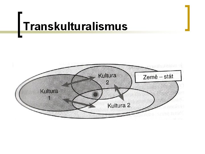 Transkulturalismus Transkulturalismus