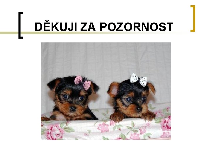 DĚKUJI ZA POZORNOST DĚKUJI ZA POZORNOST