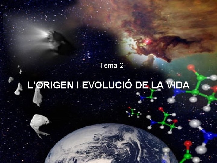 Tema 2 L’ORIGEN I EVOLUCIÓ DE LA VIDA 1 
