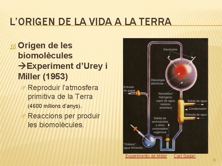 L’ORIGEN DE LA VIDA A LA TERRA Origen de les biomolècules Experiment d’Urey i