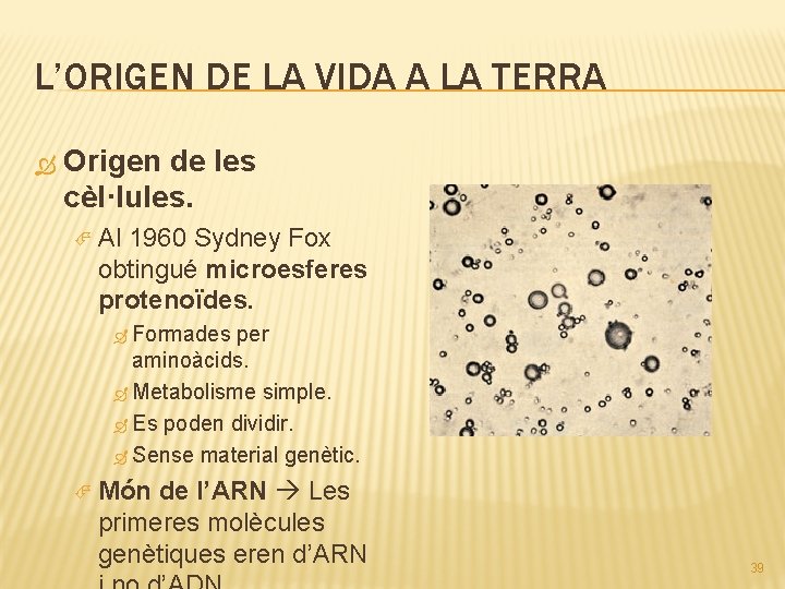 L’ORIGEN DE LA VIDA A LA TERRA Origen de les cèl·lules. Al 1960 Sydney
