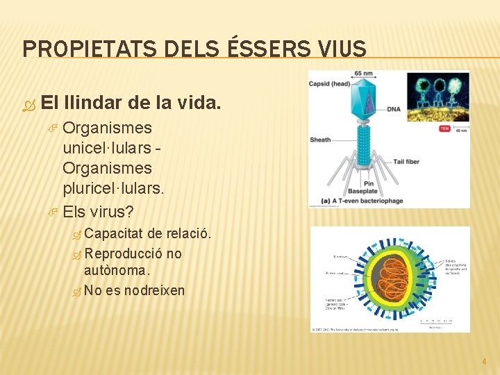 PROPIETATS DELS ÉSSERS VIUS El llindar de la vida. Organismes unicel·lulars Organismes pluricel·lulars. Els