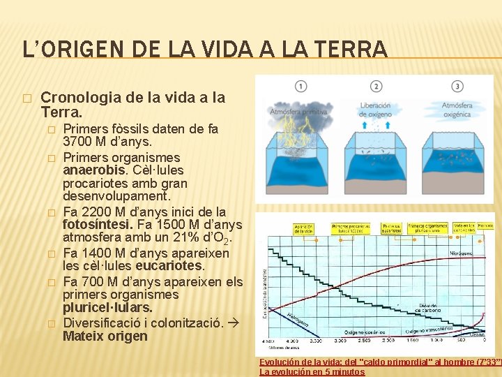 L’ORIGEN DE LA VIDA A LA TERRA � Cronologia de la vida a la