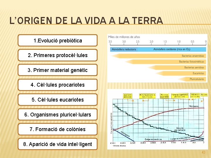 L’ORIGEN DE LA VIDA A LA TERRA 1. Evolució prebiòtica 2. Primeres protocèl·lules 3.