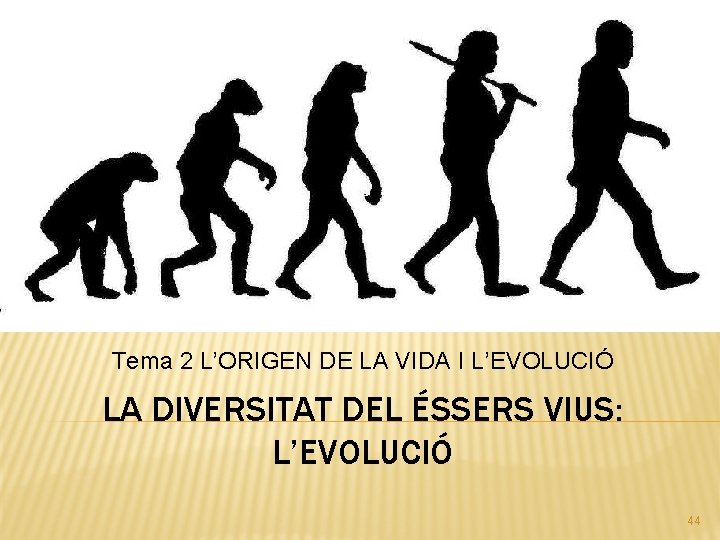 Tema 2 L’ORIGEN DE LA VIDA I L’EVOLUCIÓ LA DIVERSITAT DEL ÉSSERS VIUS: L’EVOLUCIÓ