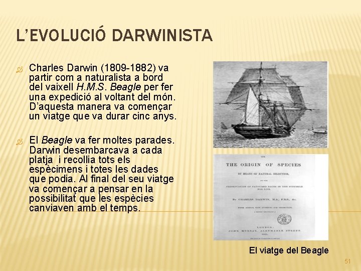 L’EVOLUCIÓ DARWINISTA Charles Darwin (1809 -1882) va partir com a naturalista a bord del