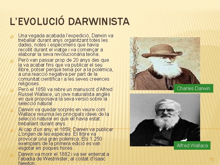 L’EVOLUCIÓ DARWINISTA Una vegada acabada l’expedició, Darwin va treballar durant anys organitzant totes les