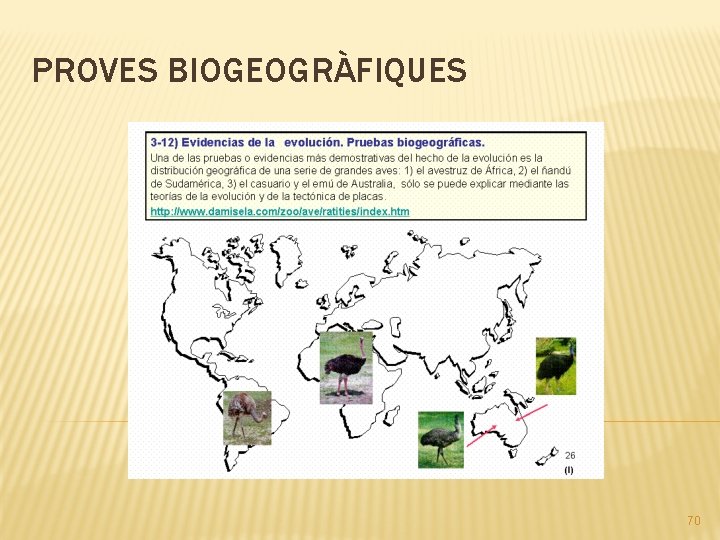 PROVES BIOGEOGRÀFIQUES 70 