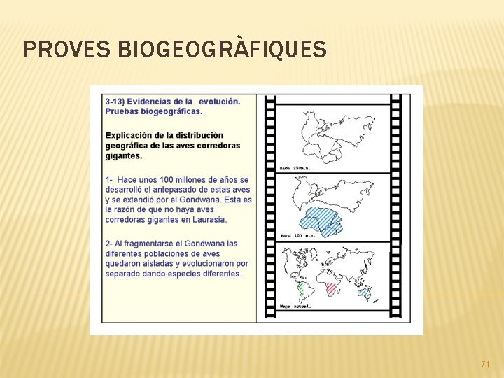 PROVES BIOGEOGRÀFIQUES 71 