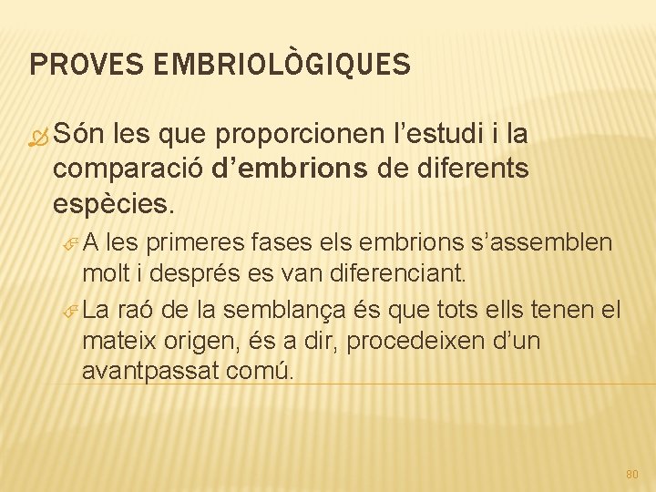 PROVES EMBRIOLÒGIQUES Són les que proporcionen l’estudi i la comparació d’embrions de diferents espècies.