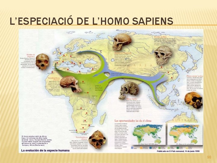 L’ESPECIACIÓ DE L’HOMO SAPIENS 98 