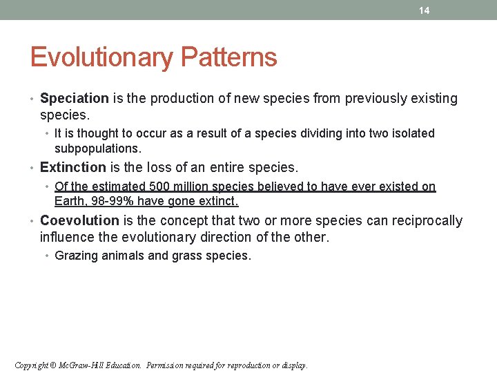 14 Evolutionary Patterns • Speciation is the production of new species from previously existing 14 Evolutionary Patterns • Speciation is the production of new species from previously existing