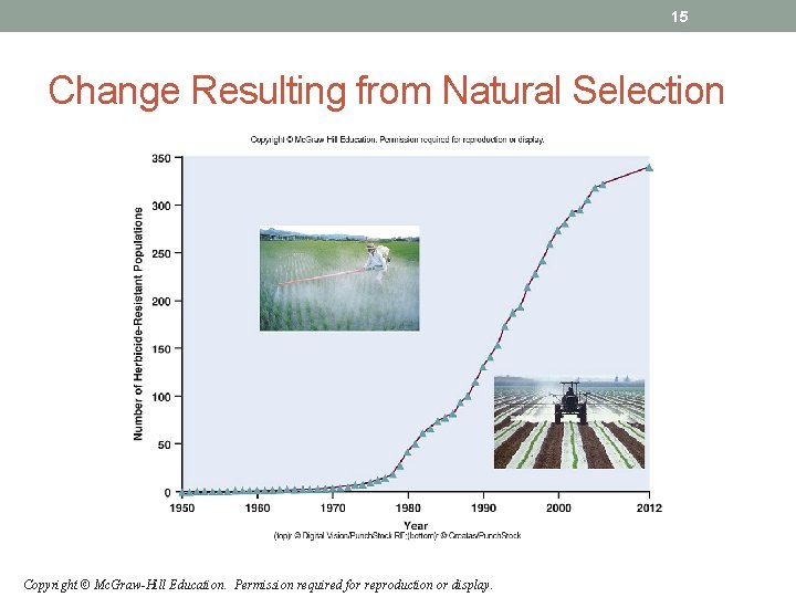 15 Change Resulting from Natural Selection Copyright © Mc. Graw-Hill Education. Permission required for 15 Change Resulting from Natural Selection Copyright © Mc. Graw-Hill Education. Permission required for