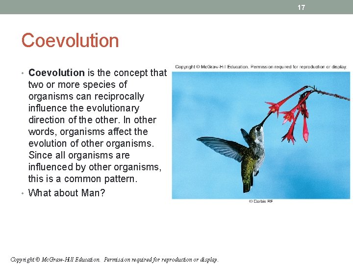 17 Coevolution • Coevolution is the concept that two or more species of organisms 17 Coevolution • Coevolution is the concept that two or more species of organisms