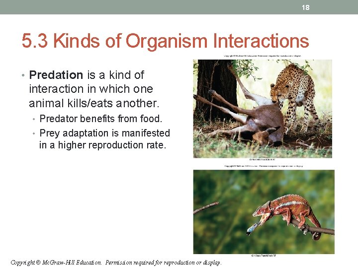 18 5. 3 Kinds of Organism Interactions • Predation is a kind of interaction 18 5. 3 Kinds of Organism Interactions • Predation is a kind of interaction