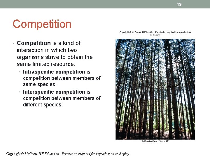 19 Competition • Competition is a kind of interaction in which two organisms strive 19 Competition • Competition is a kind of interaction in which two organisms strive