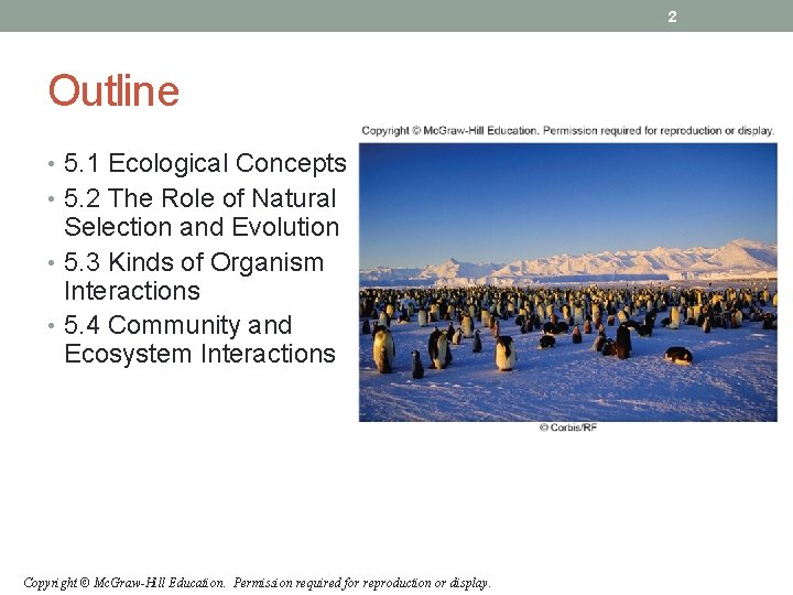 2 Outline • 5. 1 Ecological Concepts • 5. 2 The Role of Natural 2 Outline • 5. 1 Ecological Concepts • 5. 2 The Role of Natural