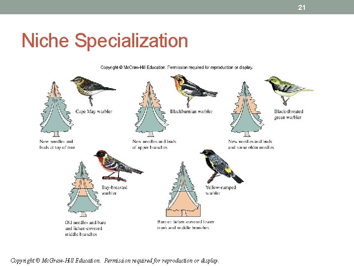 21 Niche Specialization Copyright © Mc. Graw-Hill Education. Permission required for reproduction or display. 21 Niche Specialization Copyright © Mc. Graw-Hill Education. Permission required for reproduction or display.
