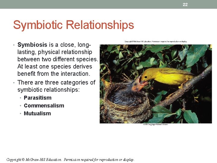 22 Symbiotic Relationships • Symbiosis is a close, long- lasting, physical relationship between two 22 Symbiotic Relationships • Symbiosis is a close, long- lasting, physical relationship between two