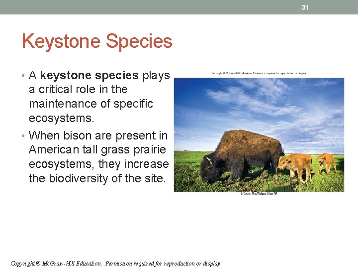 31 Keystone Species • A keystone species plays a critical role in the maintenance 31 Keystone Species • A keystone species plays a critical role in the maintenance