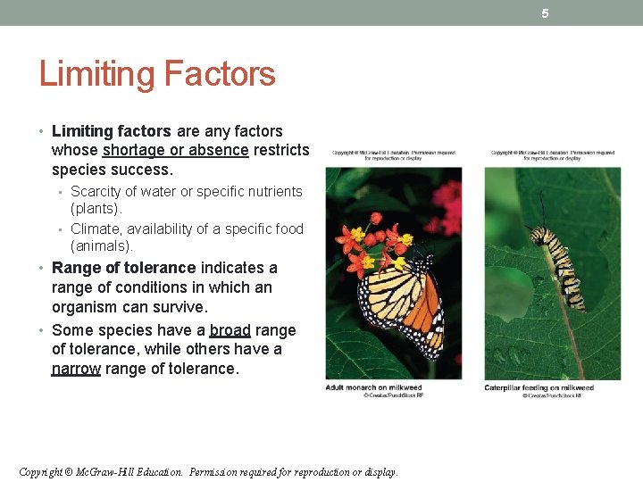 5 Limiting Factors • Limiting factors are any factors whose shortage or absence restricts 5 Limiting Factors • Limiting factors are any factors whose shortage or absence restricts