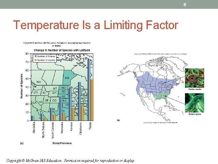 6 Temperature Is a Limiting Factor Copyright © Mc. Graw-Hill Education. Permission required for 6 Temperature Is a Limiting Factor Copyright © Mc. Graw-Hill Education. Permission required for