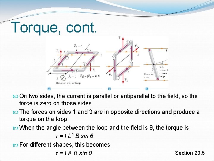 Torque, cont. On two sides, the current is parallel or antiparallel to the field,