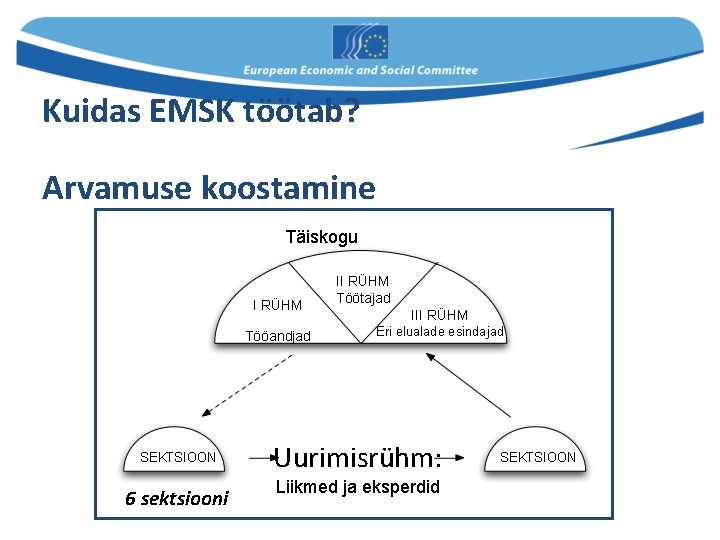 Kuidas EMSK töötab? Arvamuse koostamine Täiskogu I RÜHM Tööandjad SEKTSIOON 6 sektsiooni II RÜHM