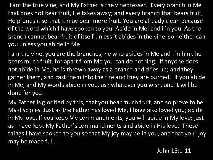 I am the true vine, and My Father is the vinedresser. Every branch in