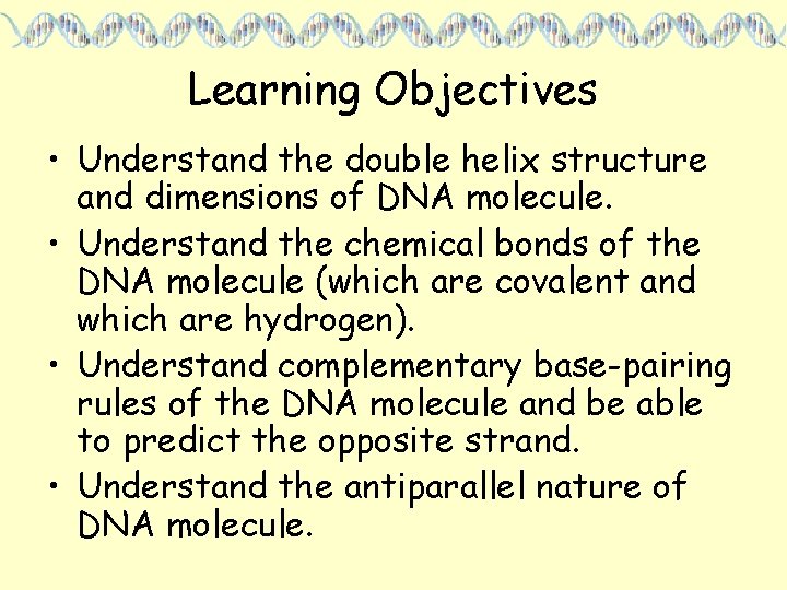 Learning Objectives • Understand the double helix structure and dimensions of DNA molecule. •