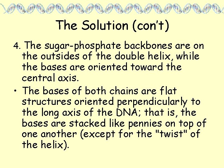 The Solution (con’t) 4. The sugar-phosphate backbones are on the outsides of the double