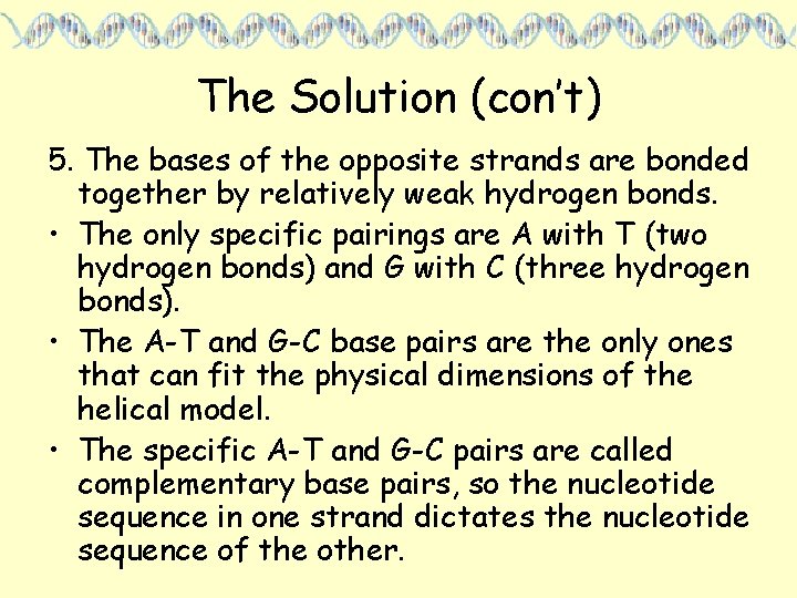 The Solution (con’t) 5. The bases of the opposite strands are bonded together by
