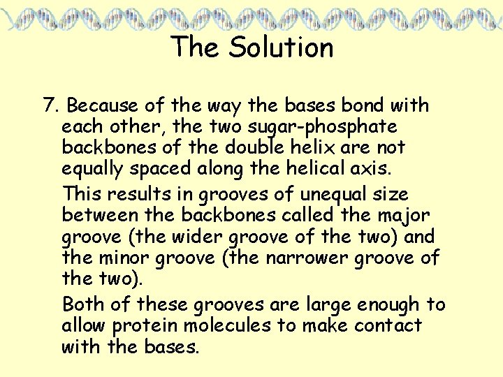 The Solution 7. Because of the way the bases bond with each other, the