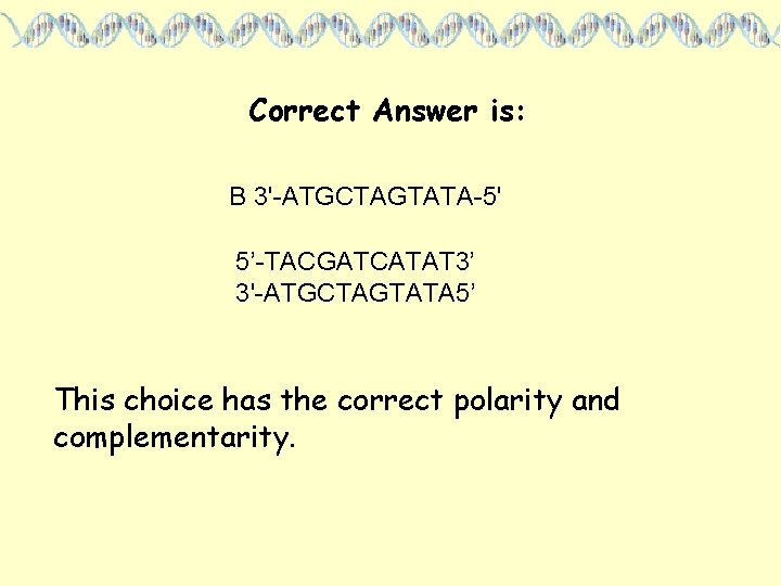 Correct Answer is: B 3'-ATGCTAGTATA-5' 5’-TACGATCATAT 3’ 3'-ATGCTAGTATA 5’ This choice has the correct
