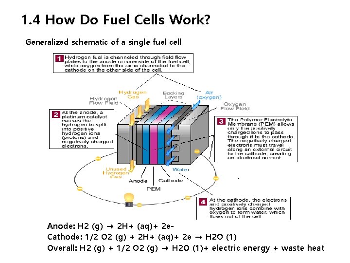 1. 4 How Do Fuel Cells Work? Generalized schematic of a single fuel cell