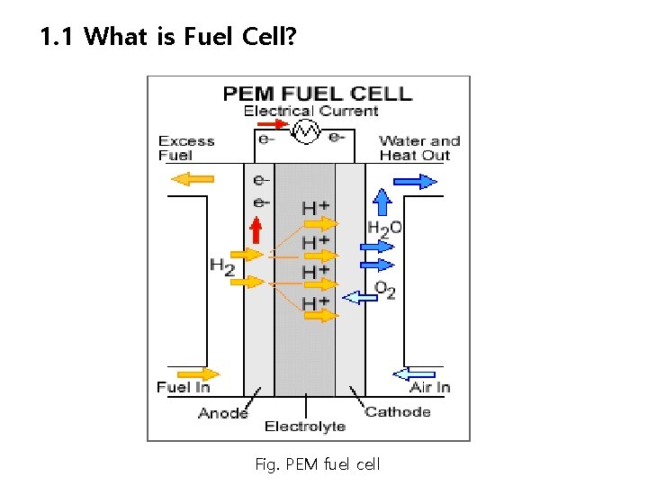 1. 1 What is Fuel Cell? Fig. PEM fuel cell 