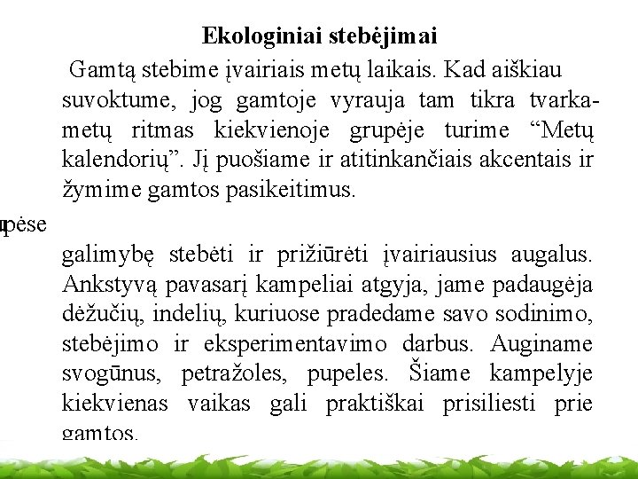 Ekologiniai stebėjimai Gamtą stebime įvairiais metų laikais. Kad aiškiau suvoktume, jog gamtoje vyrauja tam