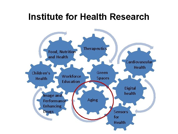 Institute for Health Research Food, Nutrition and Health Children’s Health Workforce Education Image and