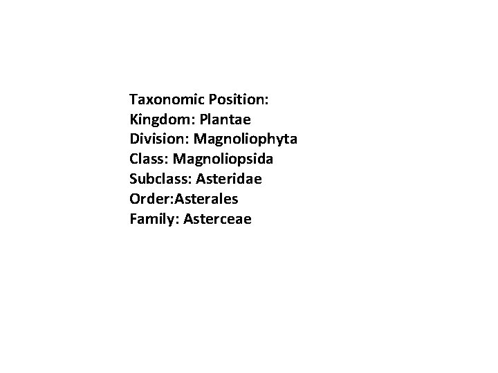 Taxonomic Position: Kingdom: Plantae Division: Magnoliophyta Class: Magnoliopsida Subclass: Asteridae Order: Asterales Family: Asterceae