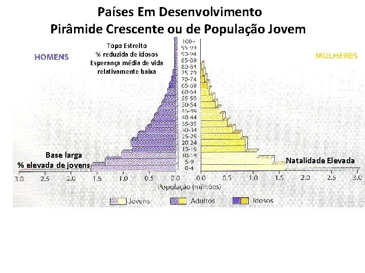 Países Em Desenvolvimento Pirâmide Crescente ou de População Jovem Topo Estreito % reduzida de