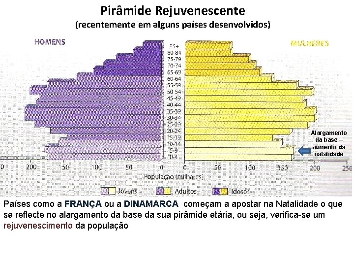 Pirâmide Rejuvenescente (recentemente em alguns países desenvolvidos) Alargamento da base – aumento da natalidade