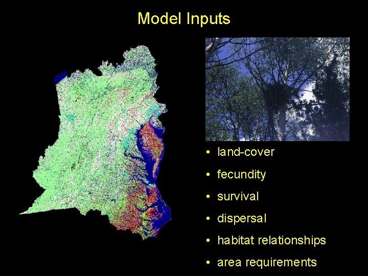 Model Inputs • land-cover • fecundity • survival • dispersal • habitat relationships •