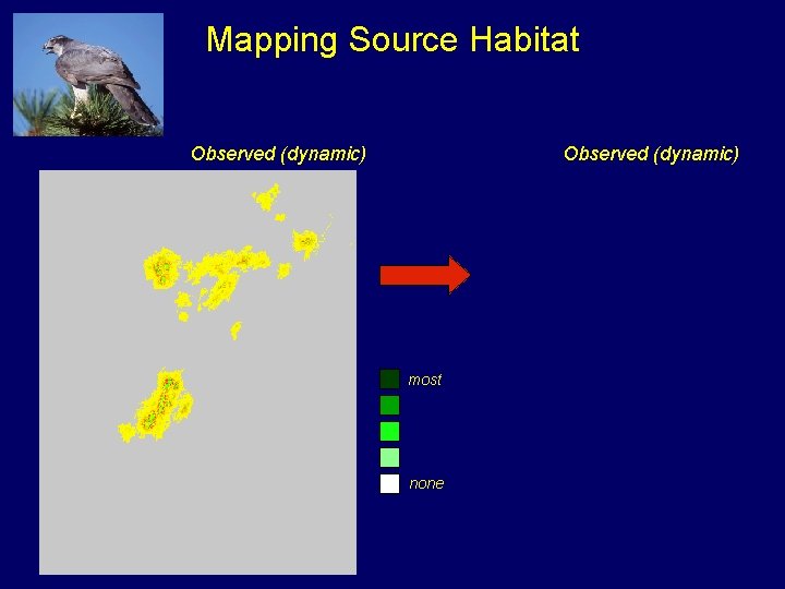 Mapping Source Habitat Observed (dynamic) most none 