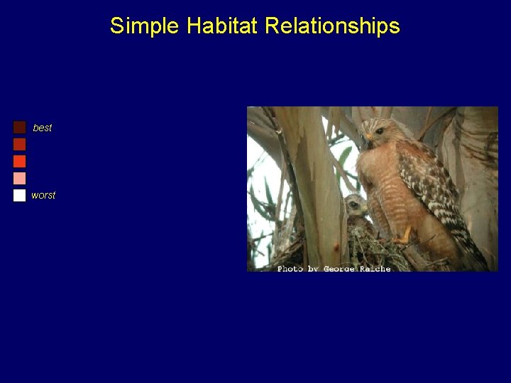 Simple Habitat Relationships best worst 