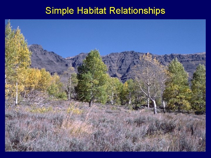 Simple Habitat Relationships 