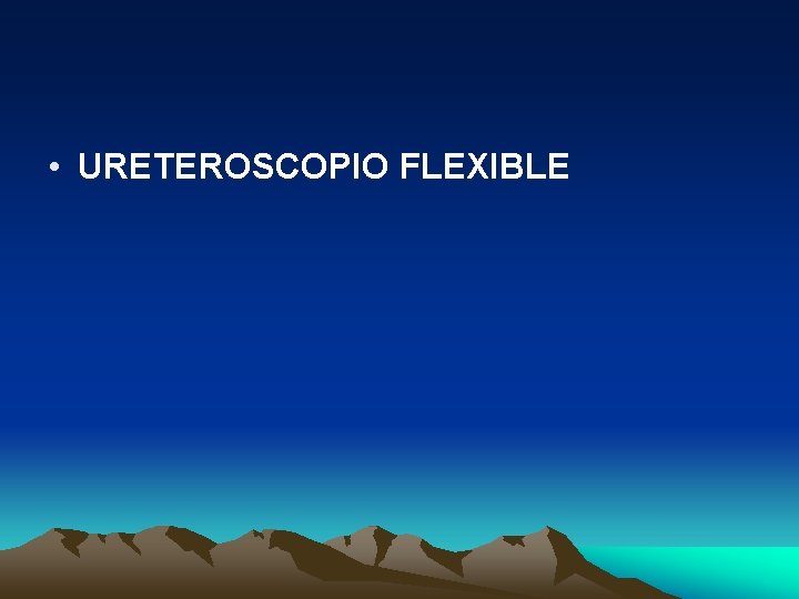  • URETEROSCOPIO FLEXIBLE 