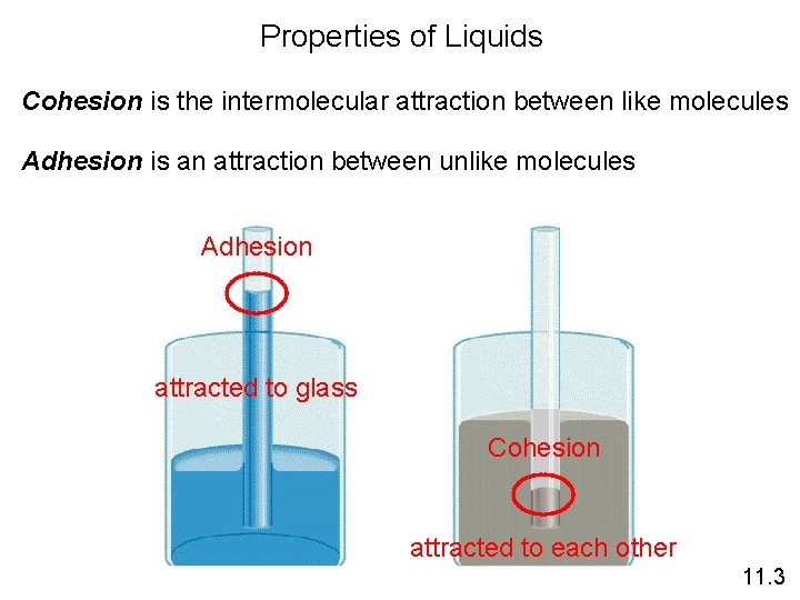 Properties of Liquids Cohesion is the intermolecular attraction between like molecules Adhesion is an