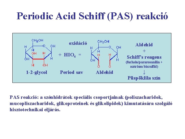 Periodic Acid Schiff (PAS) reakció oxidáció Aldehid + Schiff’s reagens + HIO 4 =